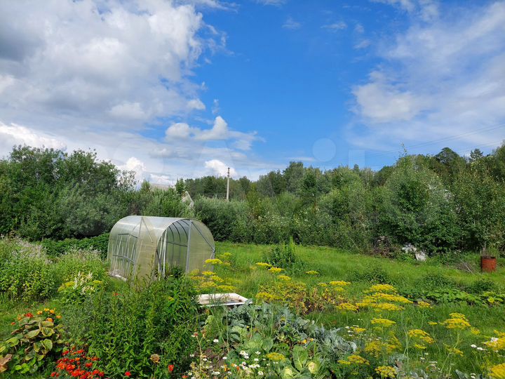 Участок 10 сот. (СНТ, ДНП)