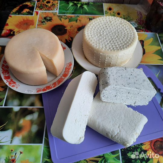 Козий сыр/творог