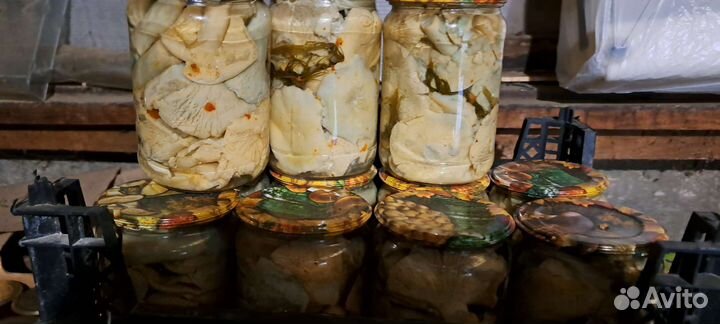 Грибы маринованные И соленные