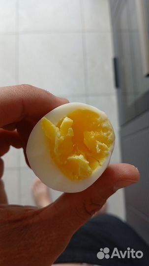 Домашние деревенские яйца