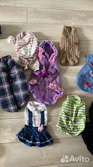 Йоркширский терьер