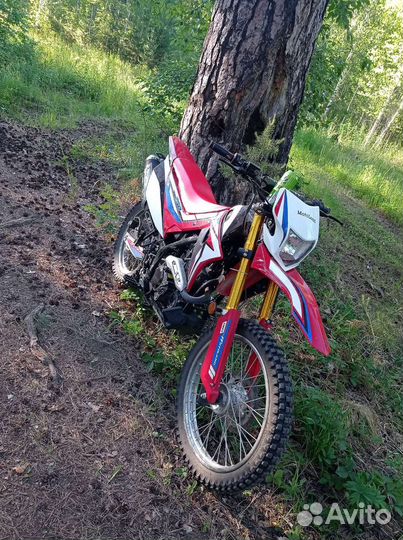 Мотоленд crf250st