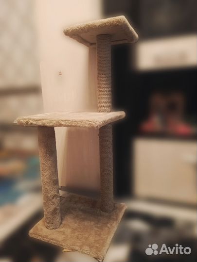 Когтеточка