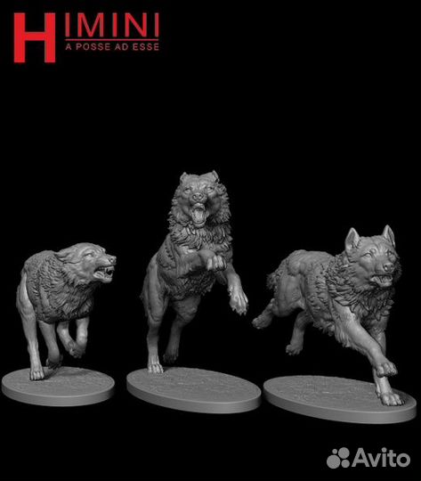 Миниатюра Himini HI-75-017