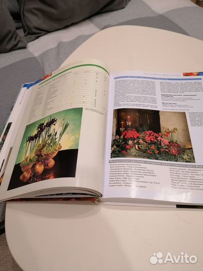 Комнатные растения практическая энциклопедия