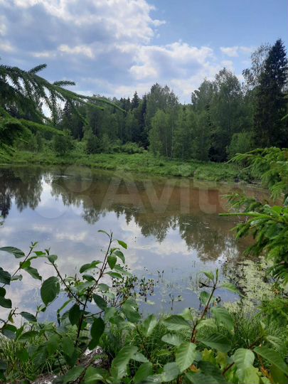 Участок 100 сот. (СНТ, ДНП)