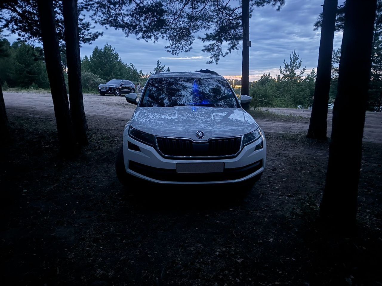 Skoda Kodiaq: фото владельца