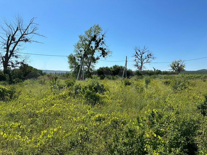 Участок 17,3 сот. (ИЖС)