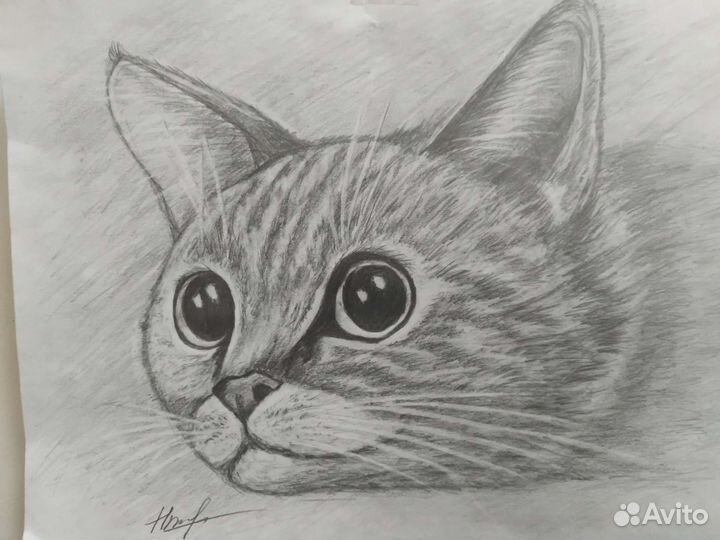 Портрет по фото карандашом