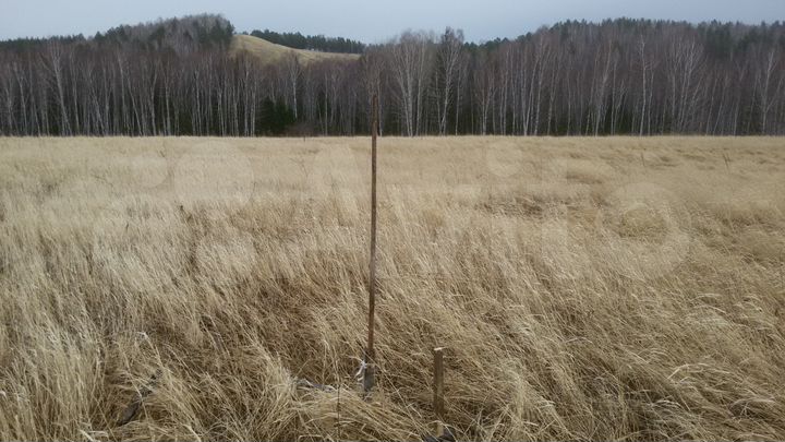 Участок 40 сот. (СНТ, ДНП)