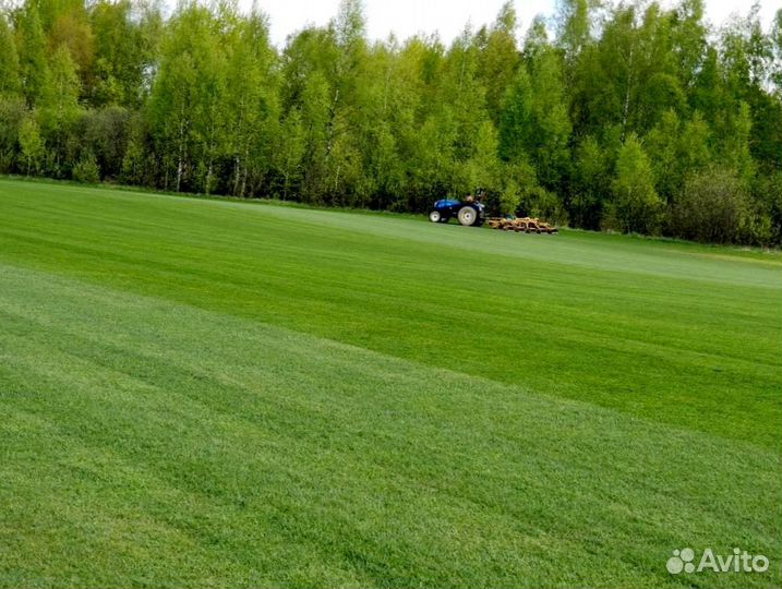 Рулонный газон 