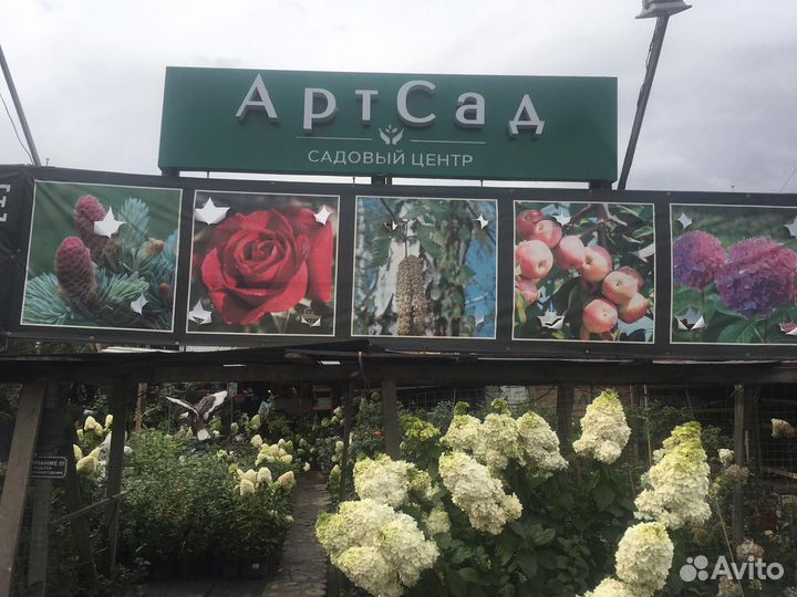 Работник в садовый центр