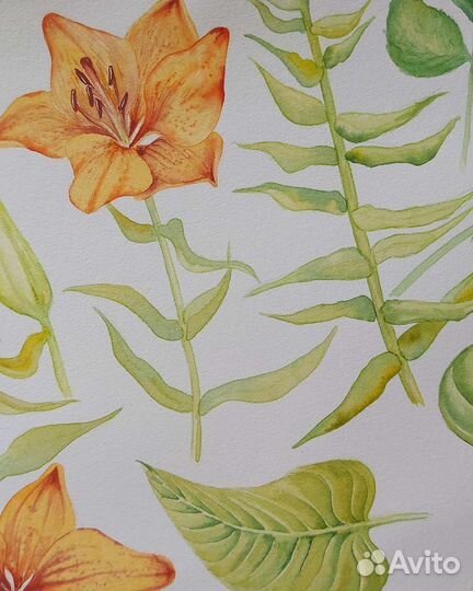 Художник иллюстратор удаленно