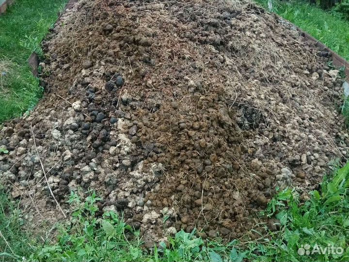 Конский навоз