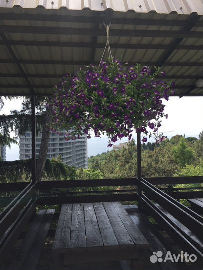 Аренда беседки Беседка в аренду