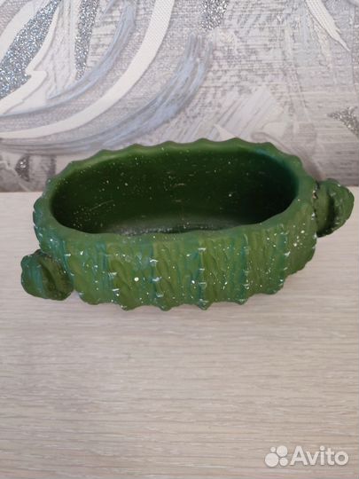 Кактусница