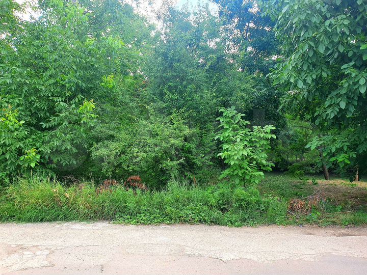 Участок 6 сот. (СНТ, ДНП)