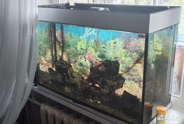Аквариум