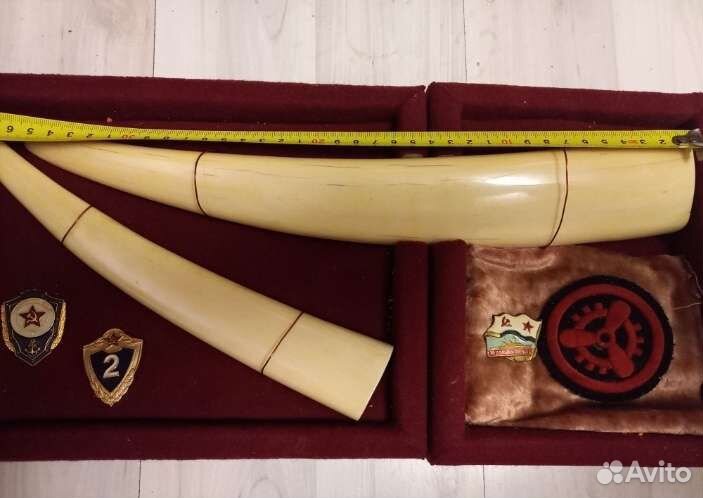 Клык,бивень, панно,За дальний поход 