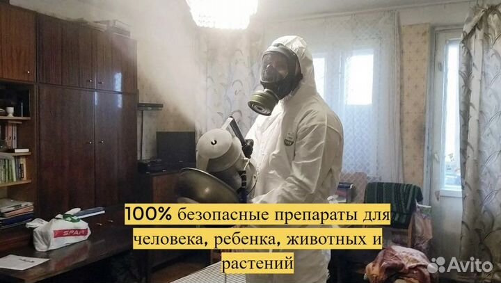 Уничтожение тараканов клопов Дезинсекция