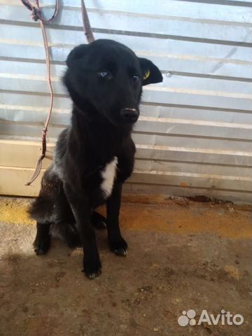 Девочка, стерильная, 9 мес