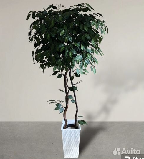 Искусственные деревья и цветы