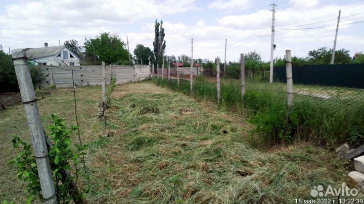 Сено в тюках