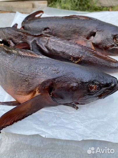 Терпуг горячего копчения