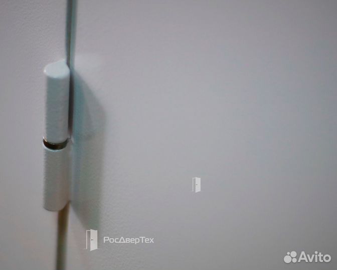 Дверь тамбурная металлическая от завода