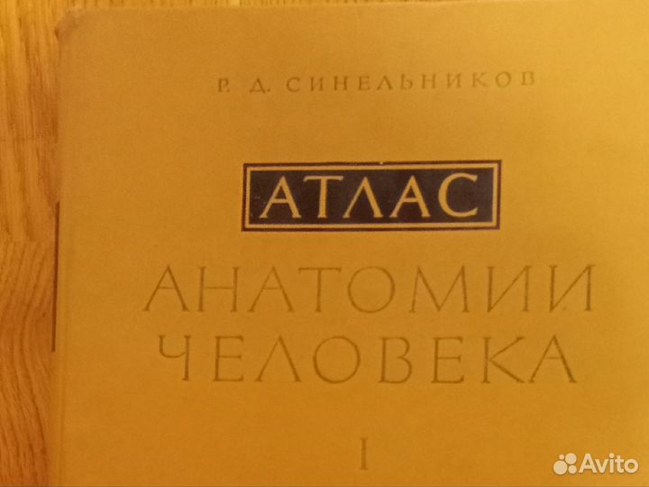 Атлас анатомии человека 3 тома