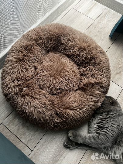 Новая лежанка для животного