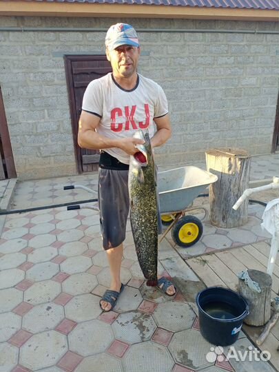 Рыбалка и отдых на Кизани