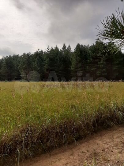 Участок 2 га (ИЖС)