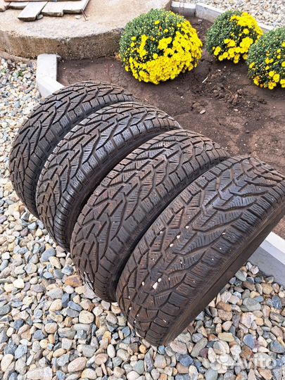 Tigar Winter 185/60 R15