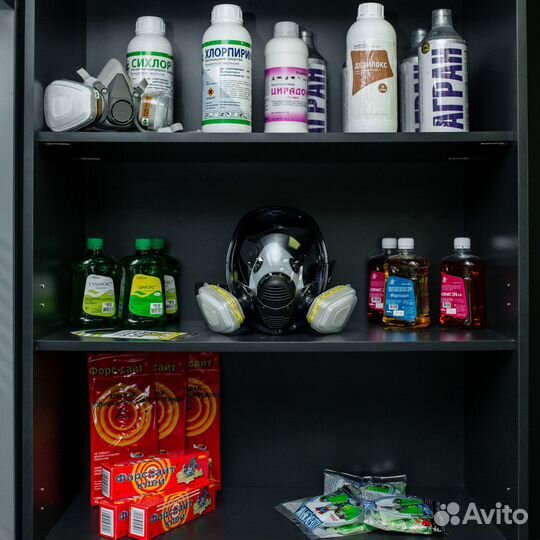 Дезинфекция. сэс. Обработка от клопов