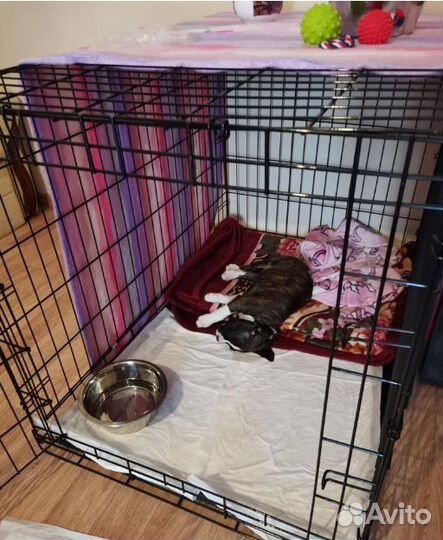 Клетка для собак и кошек вольеры для собак