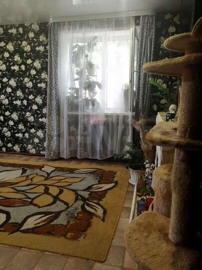 2-к. квартира, 46,5 м², 1/2 эт.