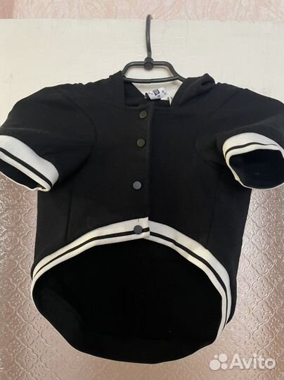 Одежда для собак