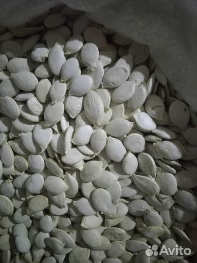 Семена тыквы