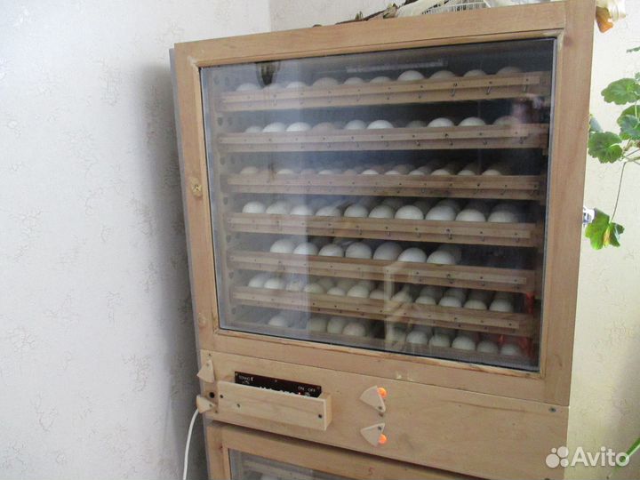Продажа домашних инкубаторов