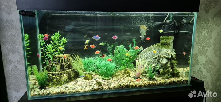 Аквариум