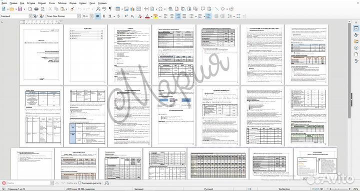 Бизнес план