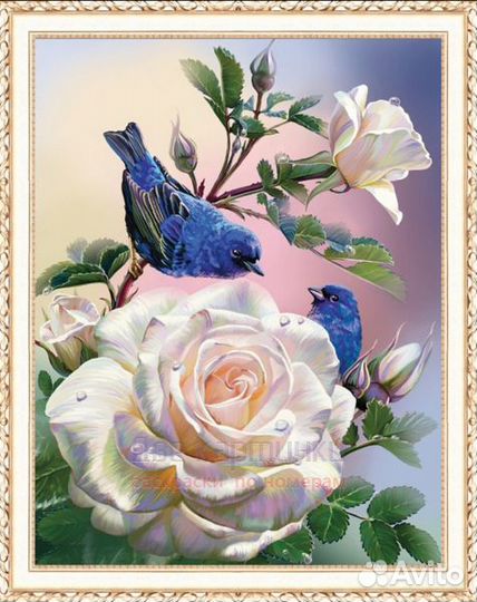 Алмазная мозаика 40x50 Синие птички на белых розах