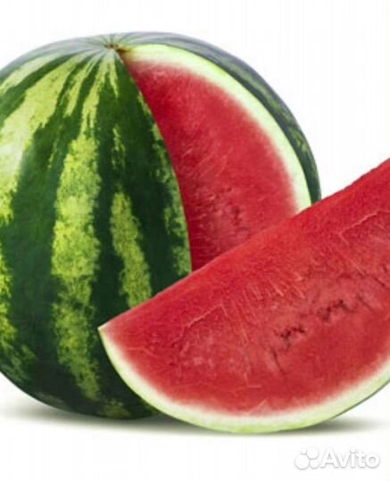 Семена Арбуза