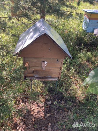 Ульи, пчелы и пчелиный инвентарь