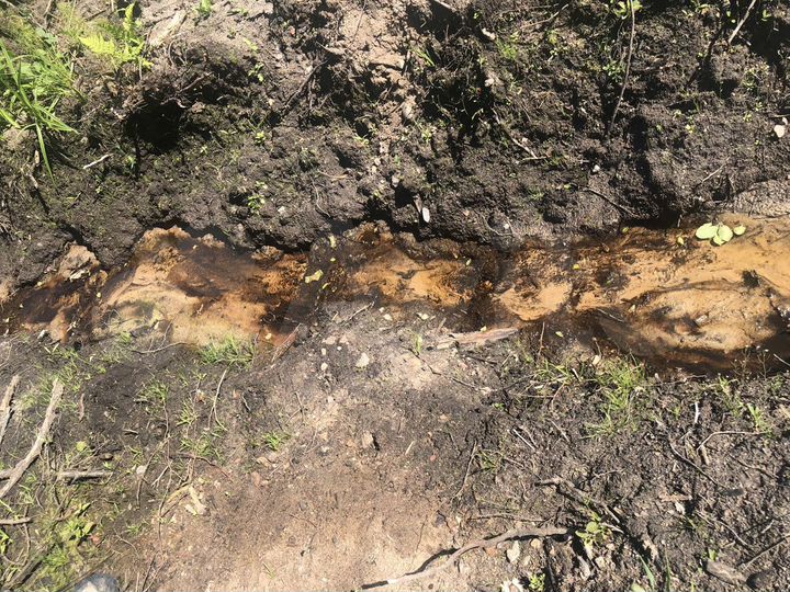 Участок 22 сот. (ИЖС)