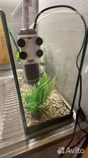 Аквариум
