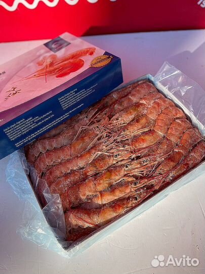 Лангустины L1