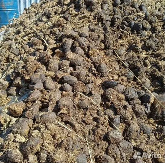 Навоз конский в мешках