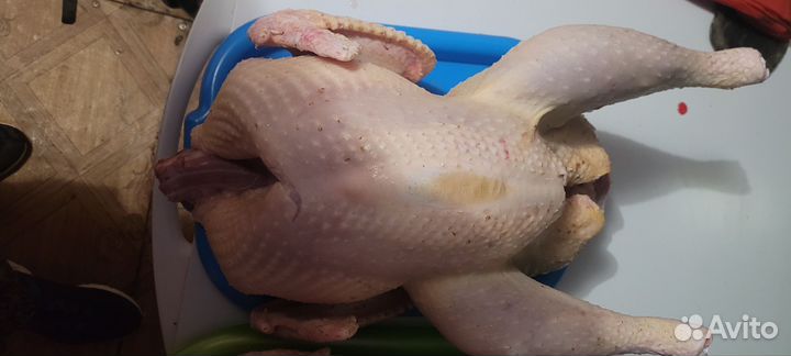 Индюки на мясо